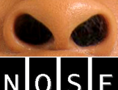 NoseNetwork