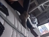 Shemale24