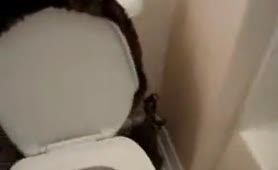 Black haired babe shitting