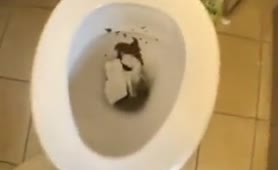 Curvy Lady Takes a Huge Dump