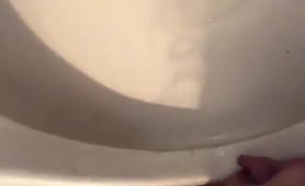 Human toilet brush