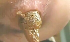 HD poop show 