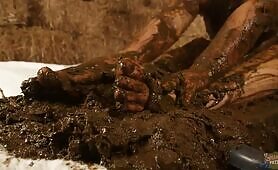 Compilation of sexy babes playing in cowshit compilation 