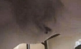 Pissing and Shitting play 