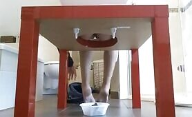 Home made toilet video